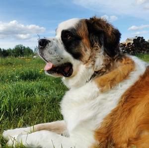 Meet your Posher, Fiona